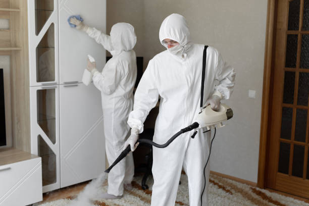 Affordable Sewage Cleanup solutions in Alamo, GA